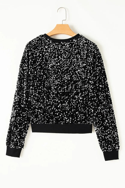 Sequin Round Neck Long Sleeve Top