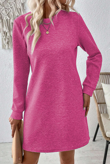 Textured Round Neck Long Sleeve Mini Dress